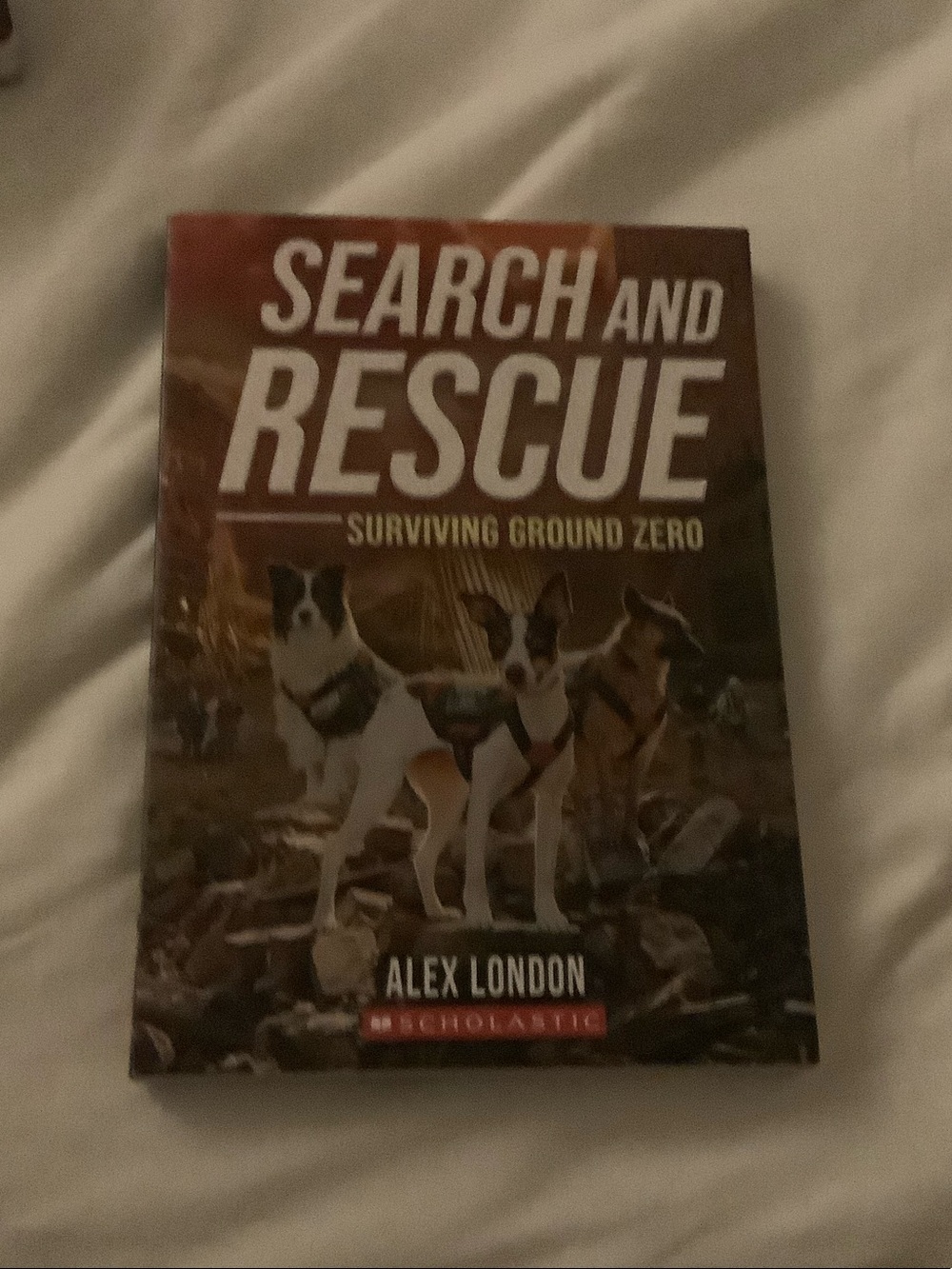 Search and rescue